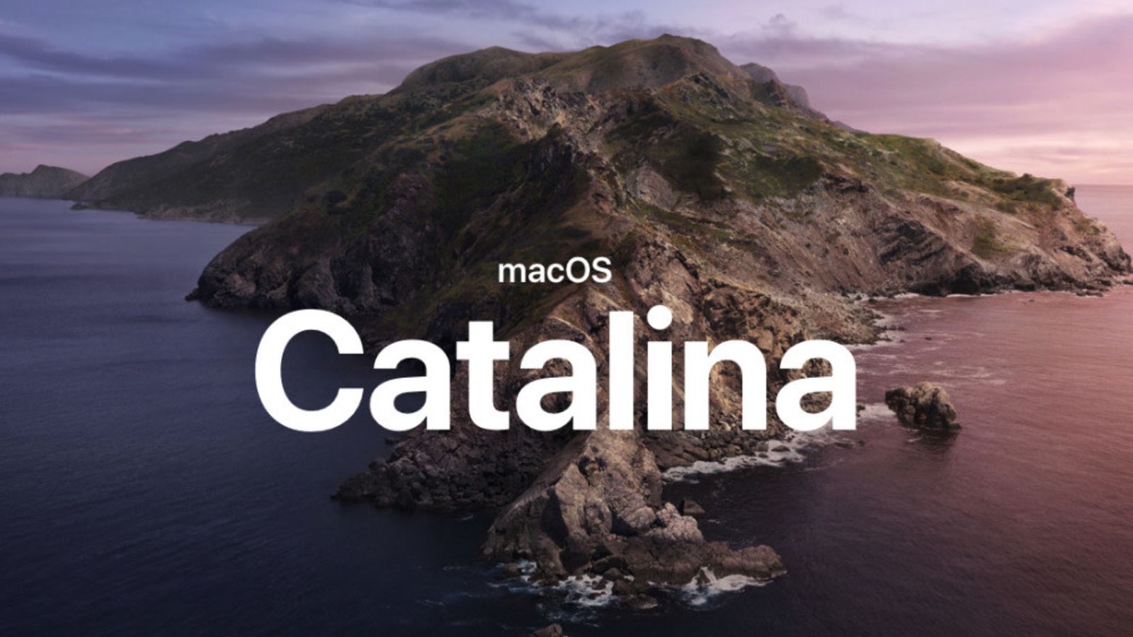 Word For Mac Os Catalina